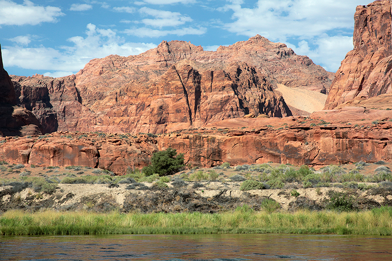Colorado Rafting : Arizona : Arizona Landscapes : Landscape Photos : Richard Moore : Photographer
